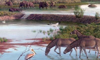 一睹世界顶级古生物艺术家的史前生命惊艳画作 - 图画吧TUHUABA