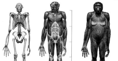 一睹世界顶级古生物艺术家的史前生命惊艳画作 - 图画吧TUHUABA
