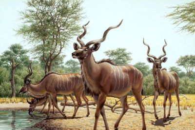 一睹世界顶级古生物艺术家的史前生命惊艳画作 - 图画吧TUHUABA