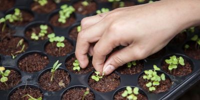 《科技与自然的共生：未来生活的想象》 - 图画吧TUHUABA