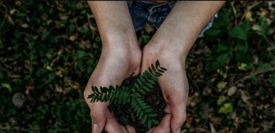 《科技与自然的共生：未来生活的想象》 - 图画吧TUHUABA