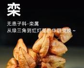 自然笔记：一种理解世界的独特视角 - 图画吧TUHUABA