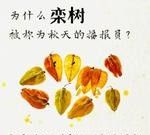 自然笔记：一种理解世界的独特视角 - 图画吧TUHUABA