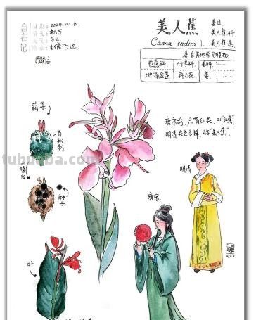 自然笔记：一种理解世界的独特视角 - 图画吧TUHUABA