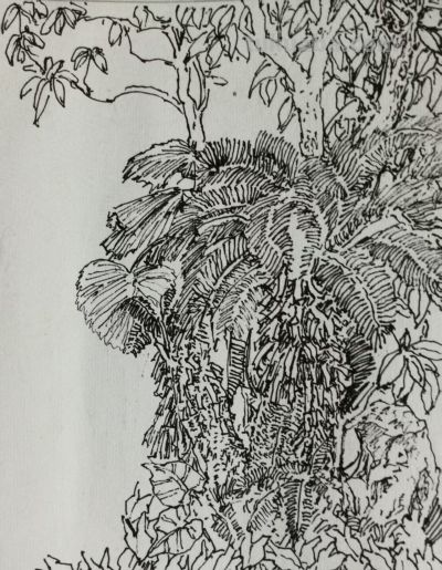 郑仁安 ||海南《南国威尼斯城》园林速写作品欣赏（6） - 图画吧TUHUABA