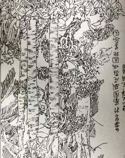 郑仁安 ||海南《南国威尼斯城》园林速写作品欣赏（6） - 图画吧TUHUABA