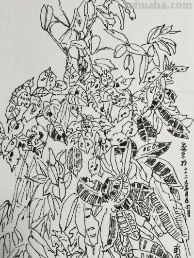 郑仁安 ||海南《南国威尼斯城》园林速写作品欣赏（6） - 图画吧TUHUABA