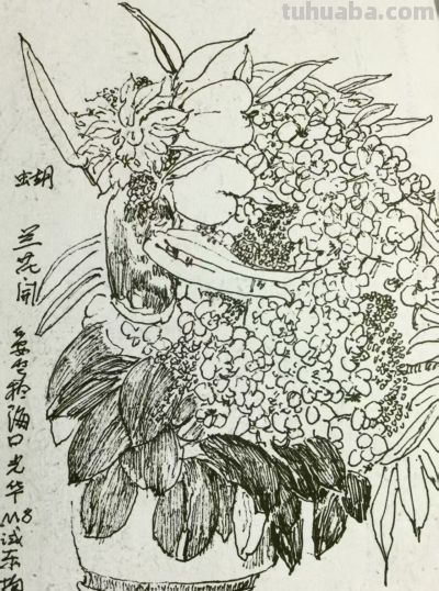 郑仁安 ||海南《南国威尼斯城》园林速写作品欣赏（6） - 图画吧TUHUABA