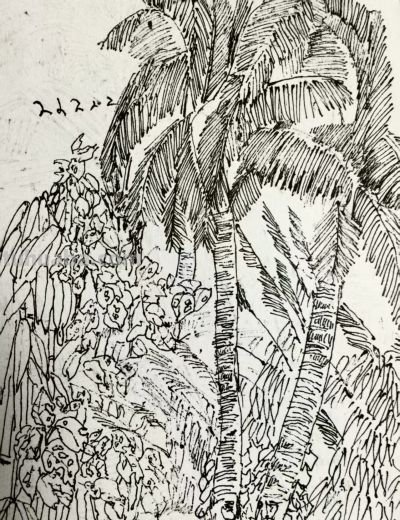 郑仁安 ||海南《南国威尼斯城》园林速写作品欣赏（6） - 图画吧TUHUABA