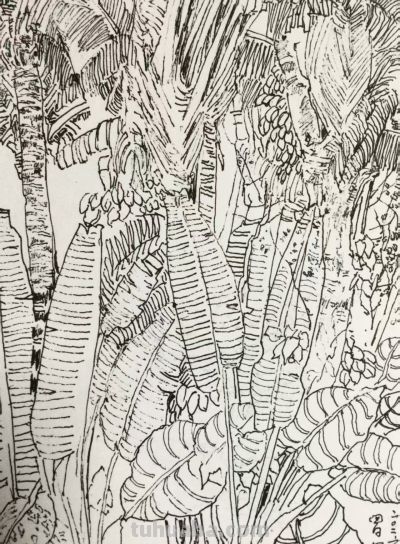 郑仁安 ||海南《南国威尼斯城》园林速写作品欣赏（6） - 图画吧TUHUABA