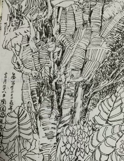 郑仁安 ||海南《南国威尼斯城》园林速写作品欣赏（6） - 图画吧TUHUABA