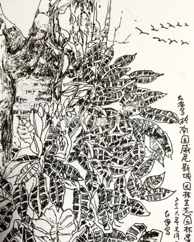 郑仁安 ||海南《南国威尼斯城》园林速写作品欣赏（6） - 图画吧TUHUABA