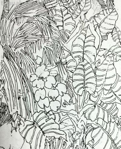 郑仁安 ||海南《南国威尼斯城》园林速写作品欣赏（6） - 图画吧TUHUABA