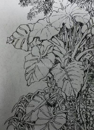 郑仁安 ||海南《南国威尼斯城》园林速写作品欣赏（6） - 图画吧TUHUABA