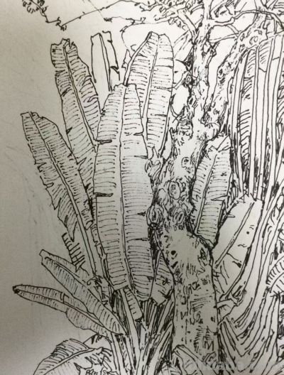 郑仁安 ||海南《南国威尼斯城》园林速写作品欣赏（6） - 图画吧TUHUABA