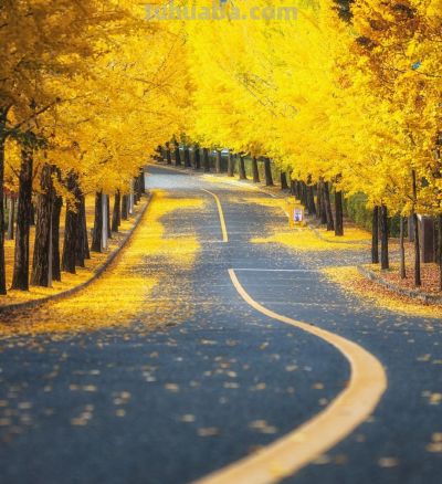 会摄影，不浪费遇到的美景，10个拍照技巧，随时随地拍好看 - 图画吧TUHUABA