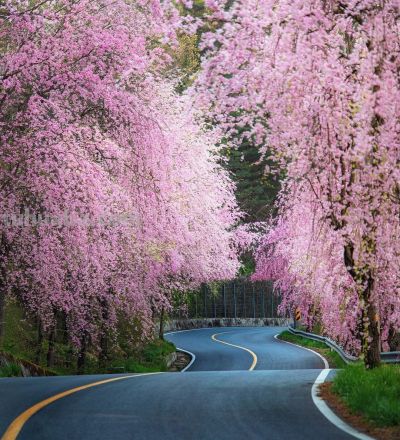 会摄影，不浪费遇到的美景，10个拍照技巧，随时随地拍好看 - 图画吧TUHUABA