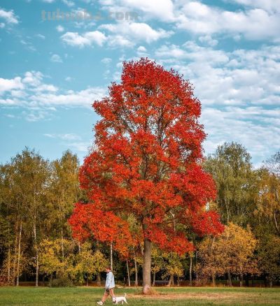 会摄影，不浪费遇到的美景，10个拍照技巧，随时随地拍好看 - 图画吧TUHUABA