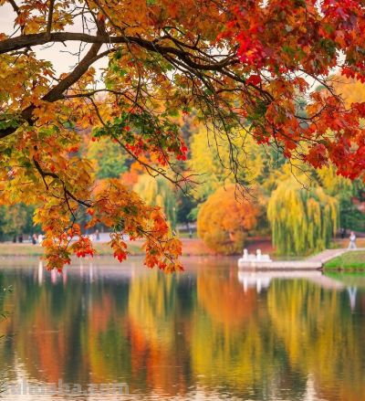 会摄影，不浪费遇到的美景，10个拍照技巧，随时随地拍好看 - 图画吧TUHUABA