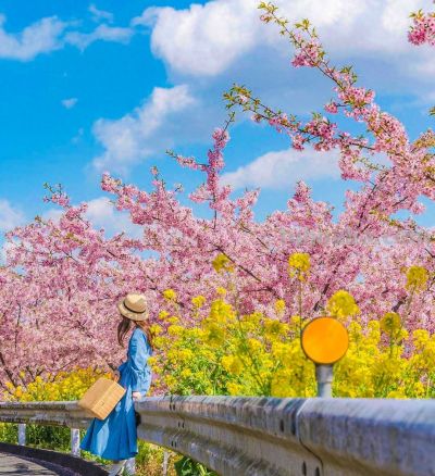 景大人小，爱死啦，真高级！10个摄影技巧教你拍出电影感大片 - 今日头条