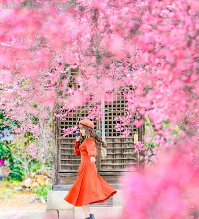 景大人小，爱死啦，真高级！10个摄影技巧教你拍出电影感大片 - 图画吧TUHUABA