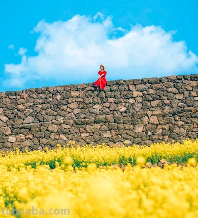 景大人小，爱死啦，真高级！10个摄影技巧教你拍出电影感大片 - 图画吧TUHUABA