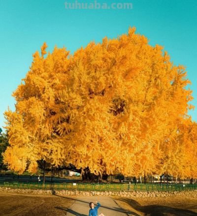 景大人小，美极了，8个摄影技巧，景美人美照片美 - 图画吧TUHUABA