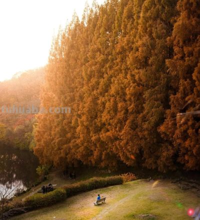 景大人小，美极了，8个摄影技巧，景美人美照片美 - 图画吧TUHUABA