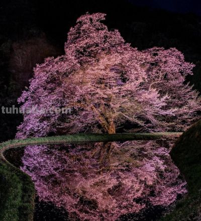 有些摄影技巧，一通百通，10个风景摄影技巧，帮你打开思路 - 今日头条