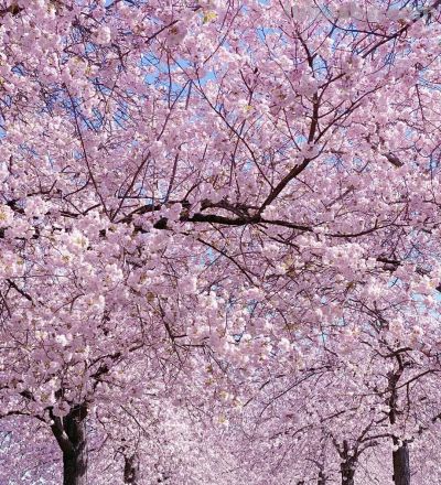 有些摄影技巧，一通百通，10个风景摄影技巧，帮你打开思路 - 图画吧TUHUABA