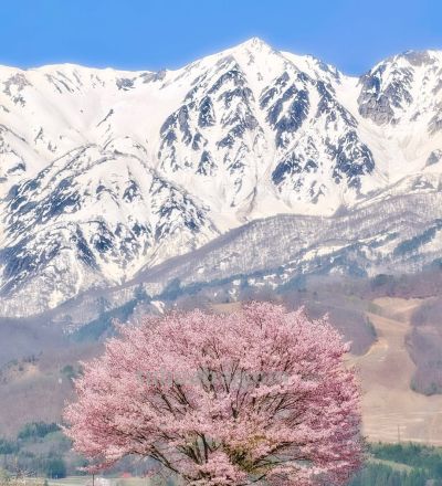 有些摄影技巧，一通百通，10个风景摄影技巧，帮你打开思路 - 图画吧TUHUABA