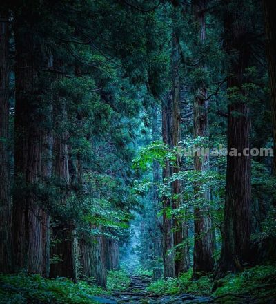 有些摄影技巧，一通百通，10个风景摄影技巧，帮你打开思路 - 图画吧TUHUABA