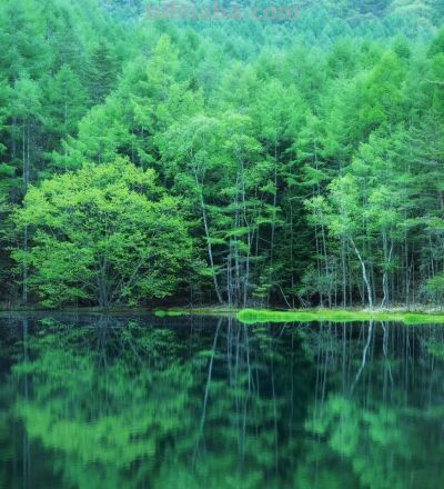 有些摄影技巧，一通百通，10个风景摄影技巧，帮你打开思路 - 图画吧TUHUABA