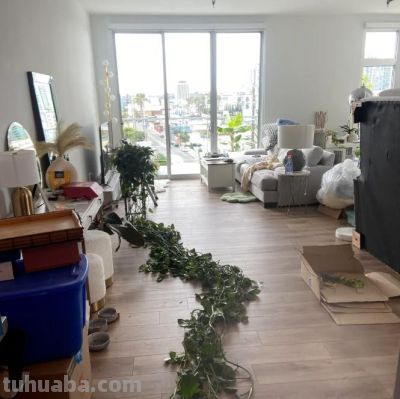 女子搬家，因“15岁的绿萝精”犯了难，网友：这有啥？盘它啊~ - 图画吧TUHUABA