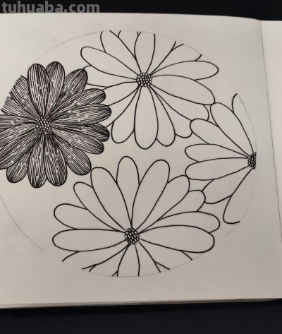 禅绕画84——不知道画什么的时候就画花朵！控笔纯享 - 图画吧TUHUABA