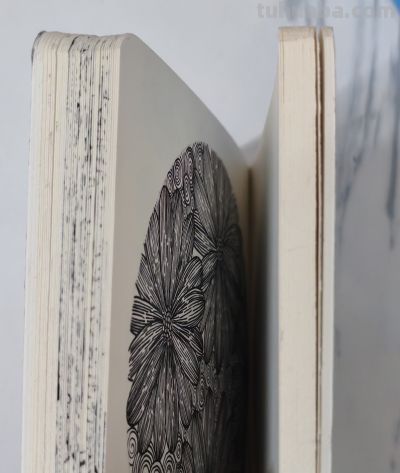 禅绕画84——不知道画什么的时候就画花朵！控笔纯享 - 图画吧TUHUABA