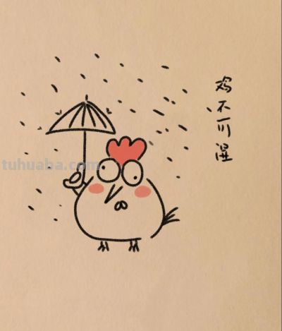 简笔画有趣的公鸡图分享丨小白爱画画 - 图画吧TUHUABA