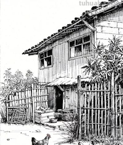 黑白钢笔画，乡村小院，屋舍、竹篱、家禽，满是质朴的烟火气息 - 图画吧TUHUABA