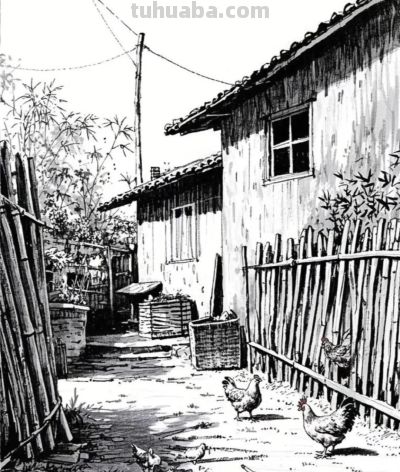 黑白钢笔画，乡村小院，屋舍、竹篱、家禽，满是质朴的烟火气息 - 图画吧TUHUABA