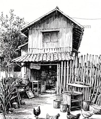 黑白钢笔画，乡村小院，屋舍、竹篱、家禽，满是质朴的烟火气息 - 图画吧TUHUABA