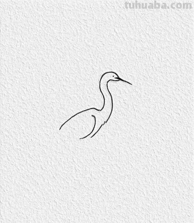 简笔画，白鹭 - 图画吧TUHUABA