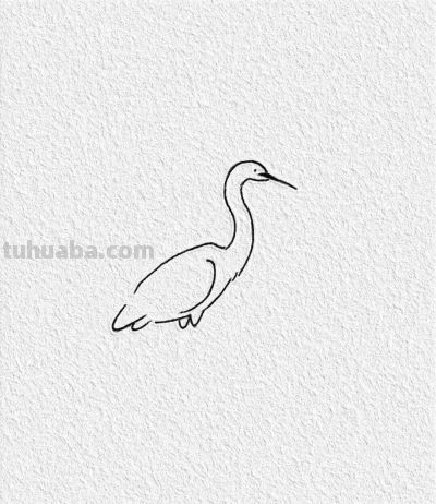 简笔画，白鹭 - 图画吧TUHUABA