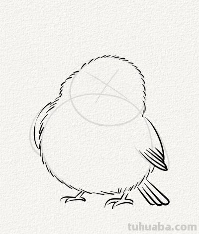 可爱呆萌的小麻雀丨涂鸦简笔画分享 - 图画吧TUHUABA