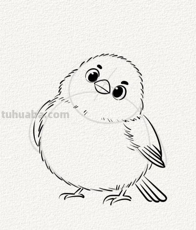 可爱呆萌的小麻雀丨涂鸦简笔画分享 - 图画吧TUHUABA