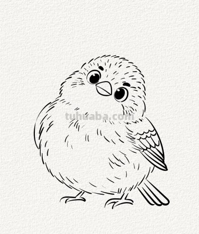 可爱呆萌的小麻雀丨涂鸦简笔画分享 - 图画吧TUHUABA