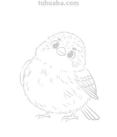 可爱呆萌的小麻雀丨涂鸦简笔画分享 - 图画吧TUHUABA