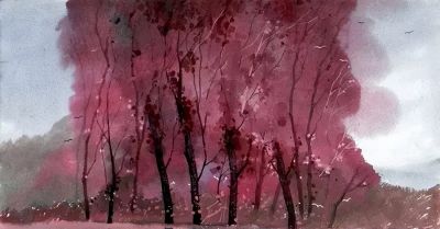 这么透明清新的水彩画，好久没见过了 - 图画吧TUHUABA