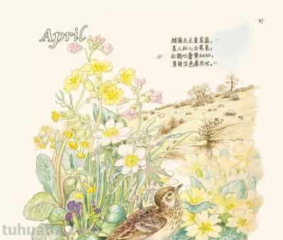 最美手抄水彩绘本,再现百年前的英伦乡野风情 | 福利 - 今日头条 最美手抄水彩绘本,再现百年前的英伦乡野风情 | 福利 - 图画吧TUHUABA