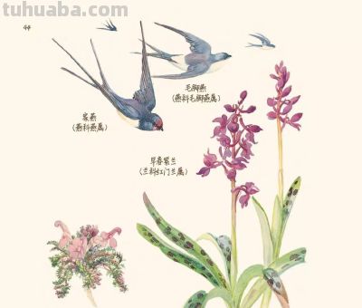 最美手抄水彩绘本,再现百年前的英伦乡野风情 | 福利 - 今日头条 最美手抄水彩绘本,再现百年前的英伦乡野风情 | 福利 - 图画吧TUHUABA