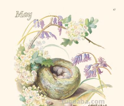 最美手抄水彩绘本,再现百年前的英伦乡野风情 | 福利 - 今日头条 最美手抄水彩绘本,再现百年前的英伦乡野风情 | 福利 - 图画吧TUHUABA